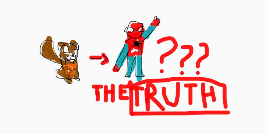 Spiderman: Could he be my Pet Squirrel?