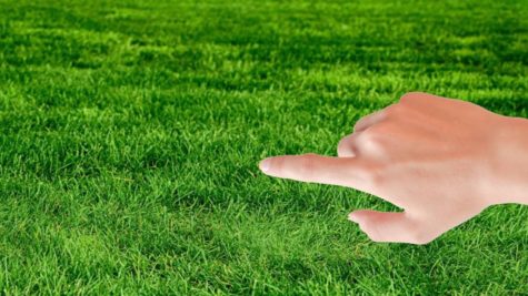 real man person touches grass. What happens next is shocking