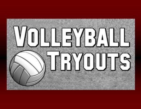 Make it on your Volleyball team (Awesome Tips) 100%Guaranteed!!! NOT Clickbait!!!! ASMR!!!