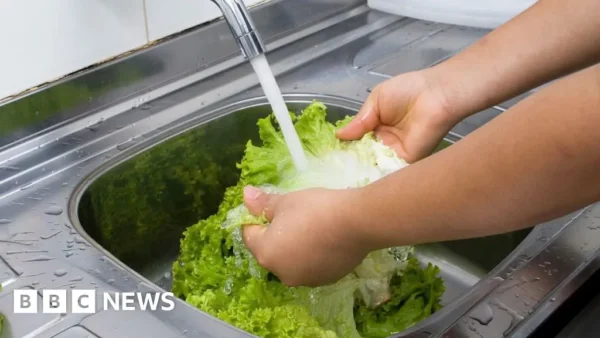 7 Things to Know About the Deadly Cyclospora Outbreak Sickening Thousands Across the U.S.