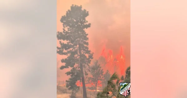 7 Ways Wildfire Smoke Can Make You Sick and What Experts Say to Do About It